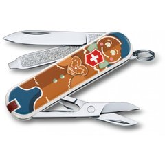 Складной нож Victorinox CLASSIC LE 0.6223.L1909
