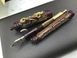 Ручка пір'яна Visconti 26016A20M The Fortune Dragon vermeil FP M l.e. 8