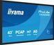 Інтерактивна панель iiyama ProLite T4329AS-B1AG