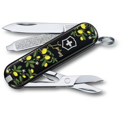Складной нож Victorinox CLASSIC LE 0.6223.L1905