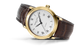 Часы наручные мужские FREDERIQUE CONSTANT FC-303MC4P5 3
