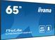 Інформаціїйний дисплей iiyama ProLite LH6565UHSB-B1