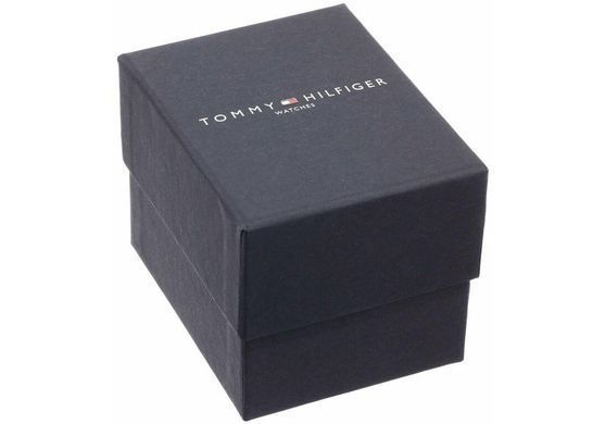 Чоловічі наручні годинники Tommy Hilfiger 1790999
