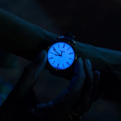Чоловічі годинники Timex ORIGINALS Tx2n794