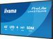 Інформаціїйний дисплей iiyama ProLite LH4375UHS-B2AG