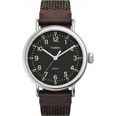 Часы наручные мужские Timex STANDARD Tx2u89600