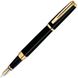 Перьевая ручка Waterman EXCEPTION Ideal Black GT FP 11 027 3