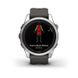 Смарт-часы Garmin Fenix 7S Pro - Solar Edition - серебристые с графитовым ремешком 9