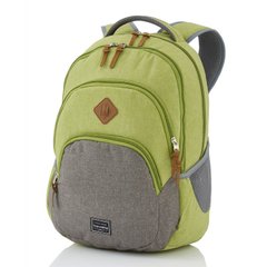 Рюкзак Travelite BASICS/Green TL096308-80