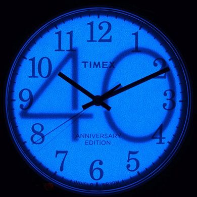 Мужские часы Timex Easy Reader Tx2r40000