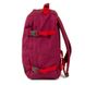 Сумка-рюкзак CabinZero CLASSIC 36L/Jaipur Pink Cz17-1806 3