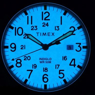 Мужские часы Timex Allied Tx2r46400