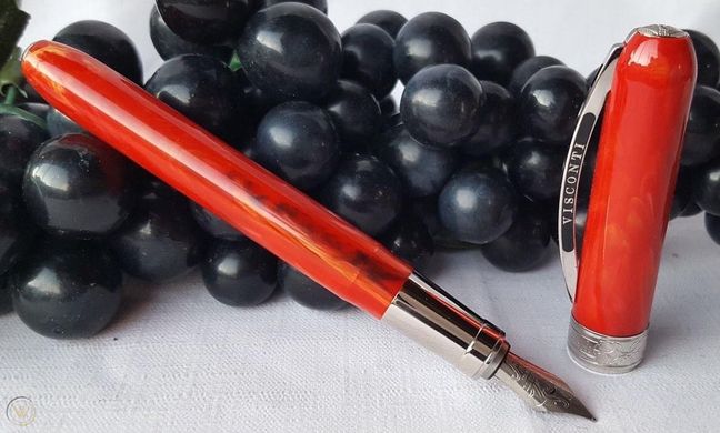 Ручка пір'яна Visconti 48290A10FP Rembrandt Red Steel FP