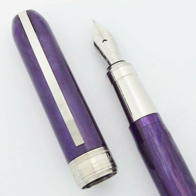 Ручка пір'яна Visconti 48243A10FP Rembrandt Purple Steel FP