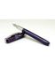 Ручка пір'яна Visconti 48243A10FP Rembrandt Purple Steel FP 2