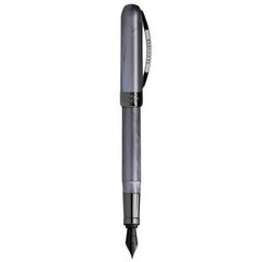 Ручка перьевая Visconti 48209DA10BKF Rembrandt Grey Steel FP