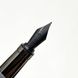 Ручка пір'яна Visconti 48209DA10BKF Rembrandt Grey Steel FP 5