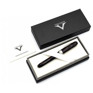 Ручка пір'яна Visconti 48208DA10BKF Rembrandt Black Steel FP