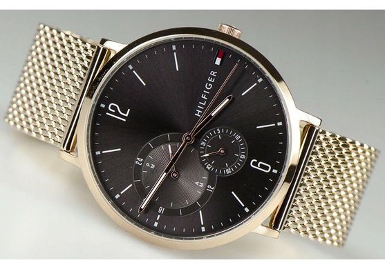 Чоловічі наручні годинники Tommy Hilfiger 1791506