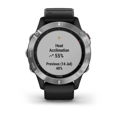 Смарт-годинник Garmin Fenix 6S сріблястий з чорним ремінцем