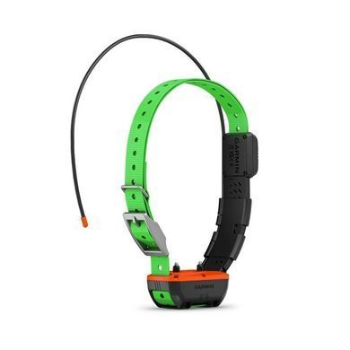 GPS-ошейник для собак Garmin Alpha TT 25