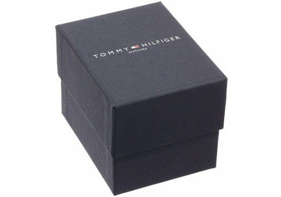 Чоловічі наручні годинники Tommy Hilfiger 1790701