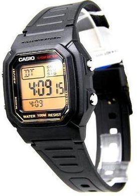 Часы наручные мужские CASIO W-800HG-9AVEF