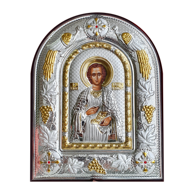 Ікона Святий Пантелеймон Цілитель