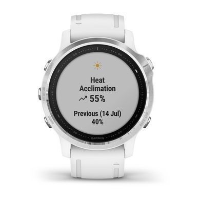 Смарт-часы Garmin Fenix 6S серебристые с белым ремешком