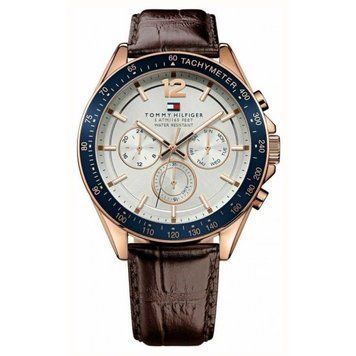 Мужские наручные часы Tommy Hilfiger 1791118