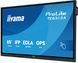 Інтерактивна панель iiyama ProLite TE6513A-B1AG