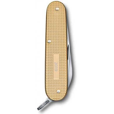 Складной нож Victorinox CADET Alox 0.2601.L19