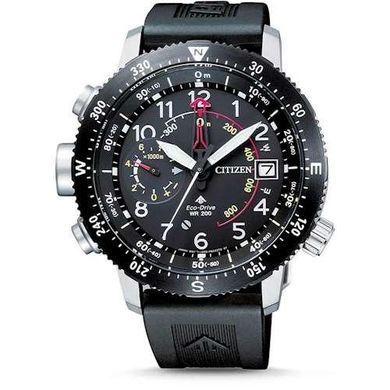 Годинники наручні Citizen BN4044-15E