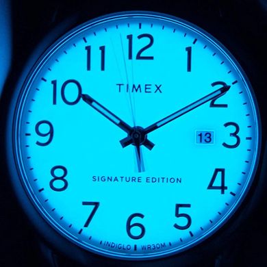 Чоловічі годинники Timex EASY READER Signature Tx2r65100
