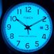Чоловічі годинники Timex EASY READER Signature Tx2r65100 5