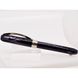 Ручка-роллер Visconti 48991 Rembrand Black FR 4